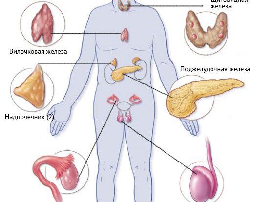 Прием эндокринолога