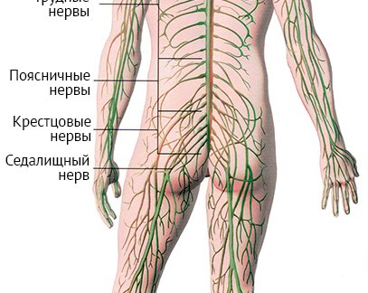 Прием невролога