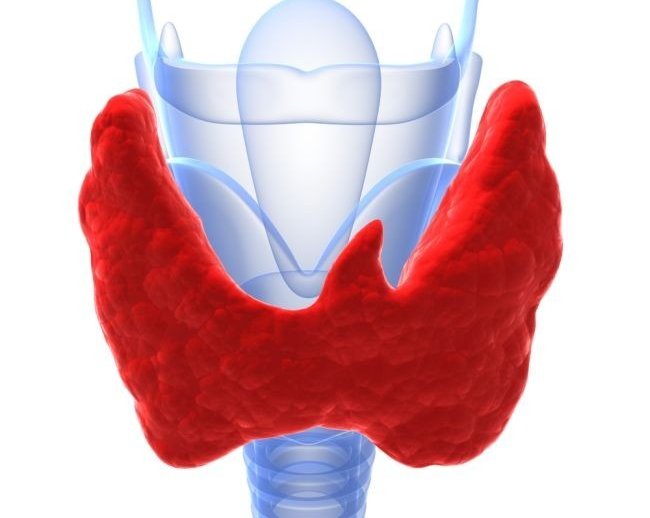 Обследование щитовидной железы